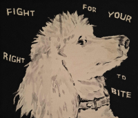 https://www.andreasleikauf.net:443/files/gimgs/th-51_fight for your right to bite.jpg